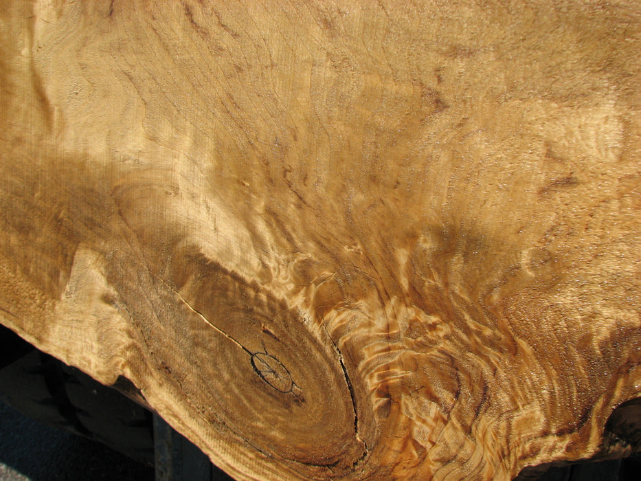 Cottonwood #7419(OC) - 2-1/2" x 16" to 30" x 163" FREE SHIPPING within the Contiguous US. freeshipping - Big Wood Slabs