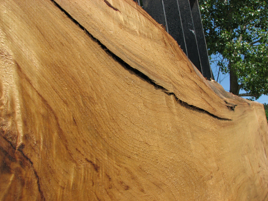 Cottonwood #7419(OC) - 2-1/2" x 16" to 30" x 163" FREE SHIPPING within the Contiguous US. freeshipping - Big Wood Slabs