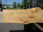 Cottonwood #7419(OC) - 2-1/2" x 16" to 30" x 163" FREE SHIPPING within the Contiguous US. freeshipping - Big Wood Slabs