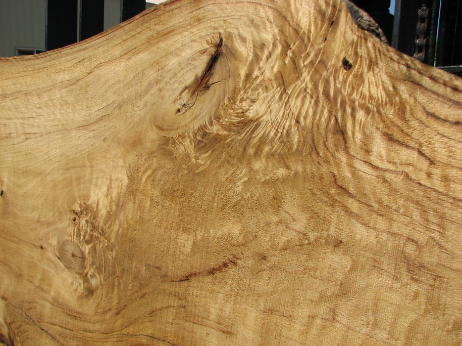 Cottonwood #7419(OC) - 2-1/2" x 16" to 30" x 163" FREE SHIPPING within the Contiguous US. freeshipping - Big Wood Slabs