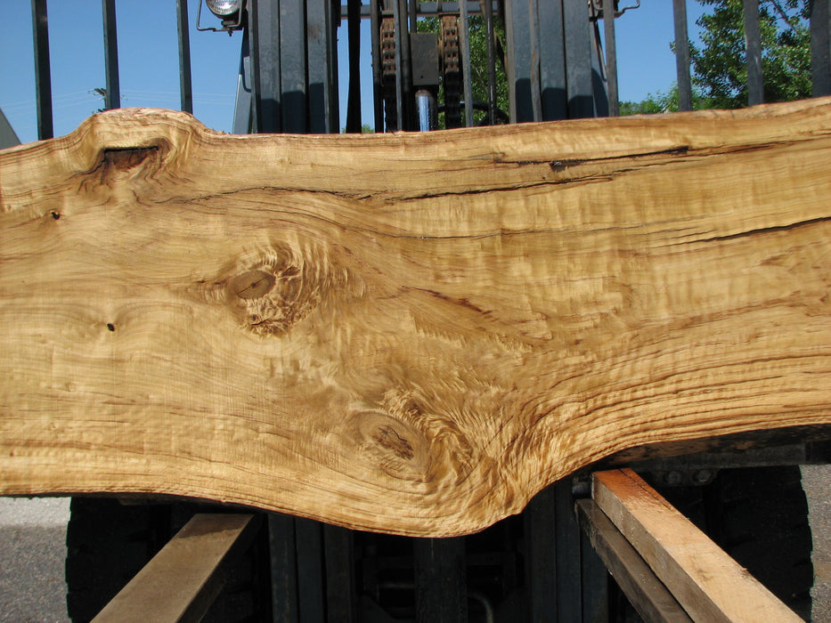 Cottonwood #7420(OC) - 2-1/4" x 24" to 31" x 166" FREE SHIPPING within the Contiguous US. freeshipping - Big Wood Slabs