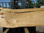 Cottonwood #7422(OC) - 3" x 24" to 30"and 3"-7" strip x 174" FREE SHIPPING within the Contiguous US. freeshipping - Big Wood Slabs