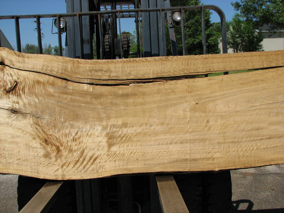 Cottonwood #7422(OC) - 3" x 24" to 30"and 3"-7" strip x 174" FREE SHIPPING within the Contiguous US. freeshipping - Big Wood Slabs