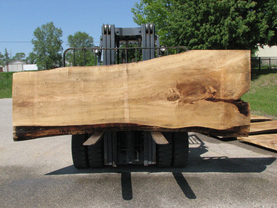 Cottonwood #7423(OC) - 2-1/2" x 30" to 45" x 133" FREE SHIPPING within the Contiguous US. freeshipping - Big Wood Slabs