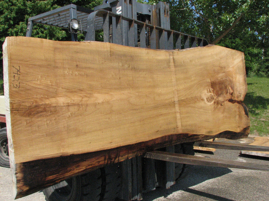 Cottonwood #7423(OC) - 2-1/2" x 30" to 45" x 133" FREE SHIPPING within the Contiguous US. freeshipping - Big Wood Slabs