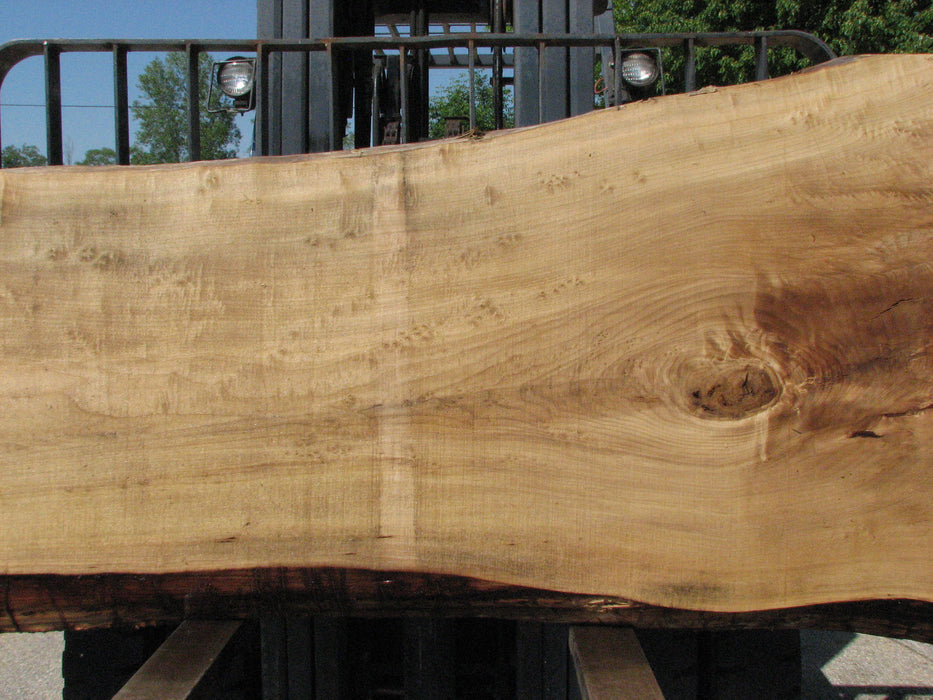 Cottonwood #7423(OC) - 2-1/2" x 30" to 45" x 133" FREE SHIPPING within the Contiguous US. freeshipping - Big Wood Slabs