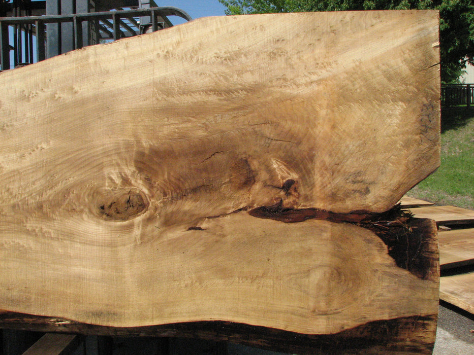 Cottonwood #7423(OC) - 2-1/2" x 30" to 45" x 133" FREE SHIPPING within the Contiguous US. freeshipping - Big Wood Slabs