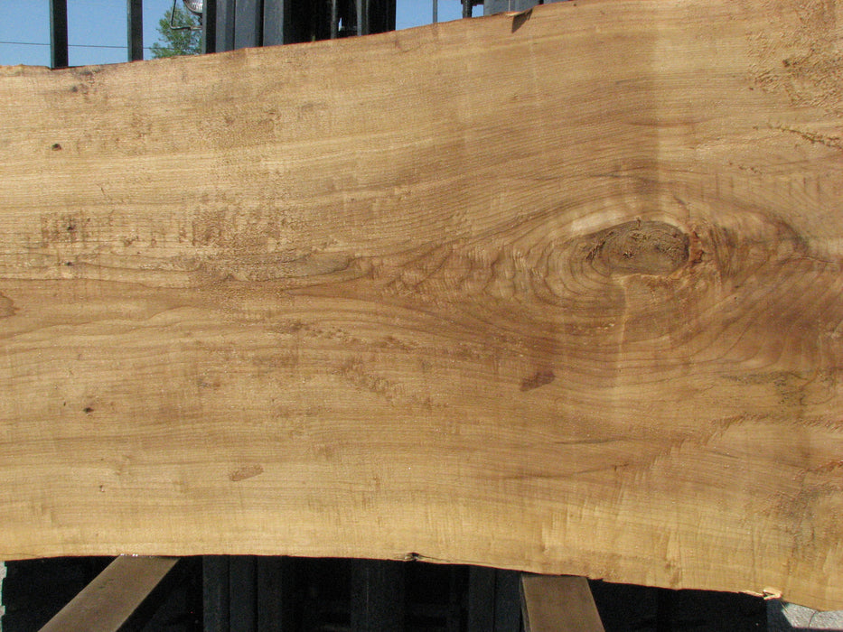 Cottonwood #7423(OC) - 2-1/2" x 30" to 45" x 133" FREE SHIPPING within the Contiguous US. freeshipping - Big Wood Slabs