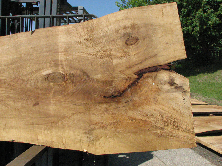 Cottonwood #7423(OC) - 2-1/2" x 30" to 45" x 133" FREE SHIPPING within the Contiguous US. freeshipping - Big Wood Slabs