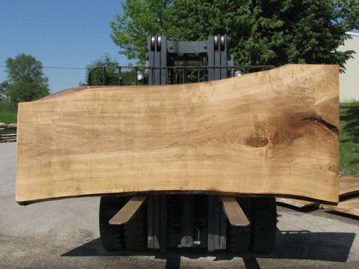 Cottonwood #7424(OC) - 2-1/4" x 37" to 49" x 117" FREE SHIPPING within the Contiguous US. freeshipping - Big Wood Slabs