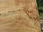 Cottonwood #7427(OC) - 2-1/8" x 44" to 54" x 111" FREE SHIPPING within the Contiguous US. freeshipping - Big Wood Slabs