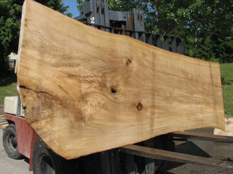 Cottonwood #7428(OC) - 2-1/2" x 31" to 42" x 122" FREE SHIPPING within the Contiguous US. freeshipping - Big Wood Slabs