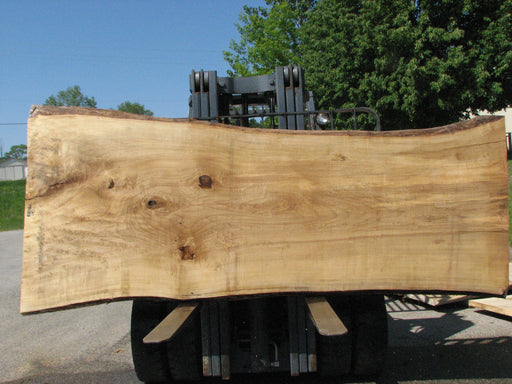 Cottonwood #7429(OC) - 2-1/2" x 38" to 51" x 123" FREE SHIPPING within the Contiguous US. freeshipping - Big Wood Slabs