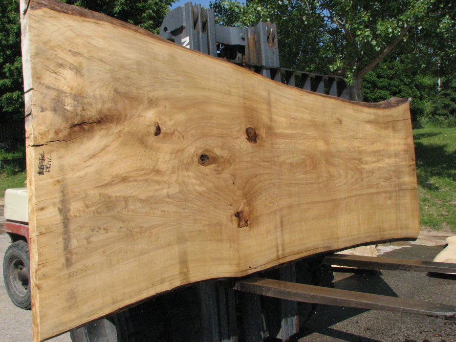 Cottonwood #7429(OC) - 2-1/2" x 38" to 51" x 123" FREE SHIPPING within the Contiguous US. freeshipping - Big Wood Slabs