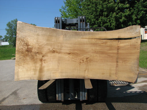 Cottonwood #7431(OC) - 2-1/2" x 45" to 57" x 116" FREE SHIPPING within the Contiguous US. freeshipping - Big Wood Slabs