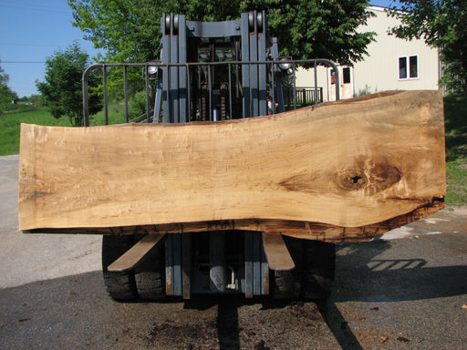 Cottonwood #7432(OC) - 2-1/2" x 26" to 33" x 118" FREE SHIPPING within the Contiguous US. freeshipping - Big Wood Slabs