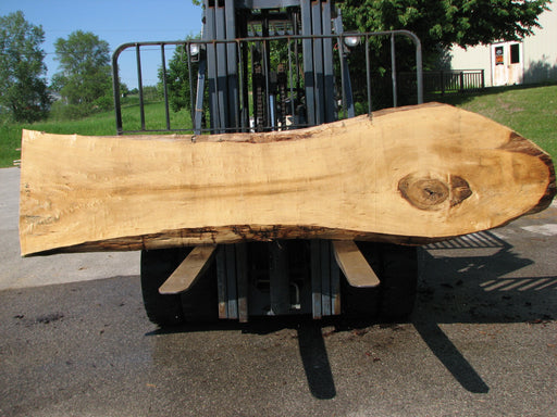 Cottonwood #7434(OC) - 2-1/4" x 18" to 29" x 122" FREE SHIPPING within the Contiguous US. freeshipping - Big Wood Slabs