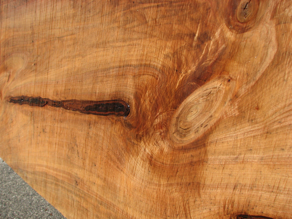 Maple #7437(TB) - 2-3/4" x 46" to 58" x 162" FREE SHIPPING within the Contiguous US. freeshipping - Big Wood Slabs