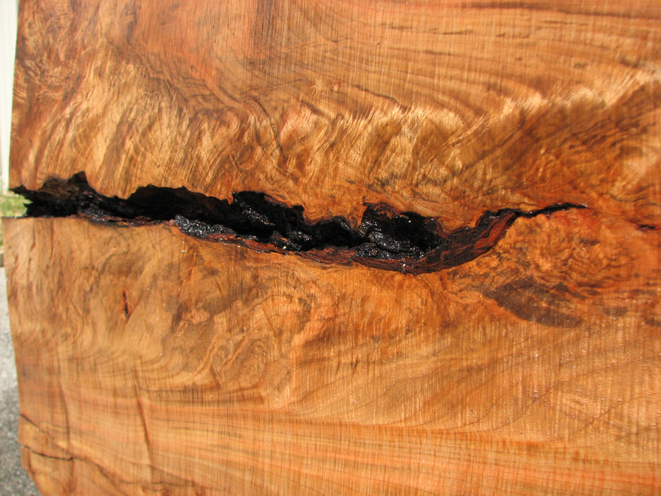 Maple #7437(TB) - 2-3/4" x 46" to 58" x 162" FREE SHIPPING within the Contiguous US. freeshipping - Big Wood Slabs