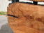 Maple #7437(TB) - 2-3/4" x 46" to 58" x 162" FREE SHIPPING within the Contiguous US. freeshipping - Big Wood Slabs