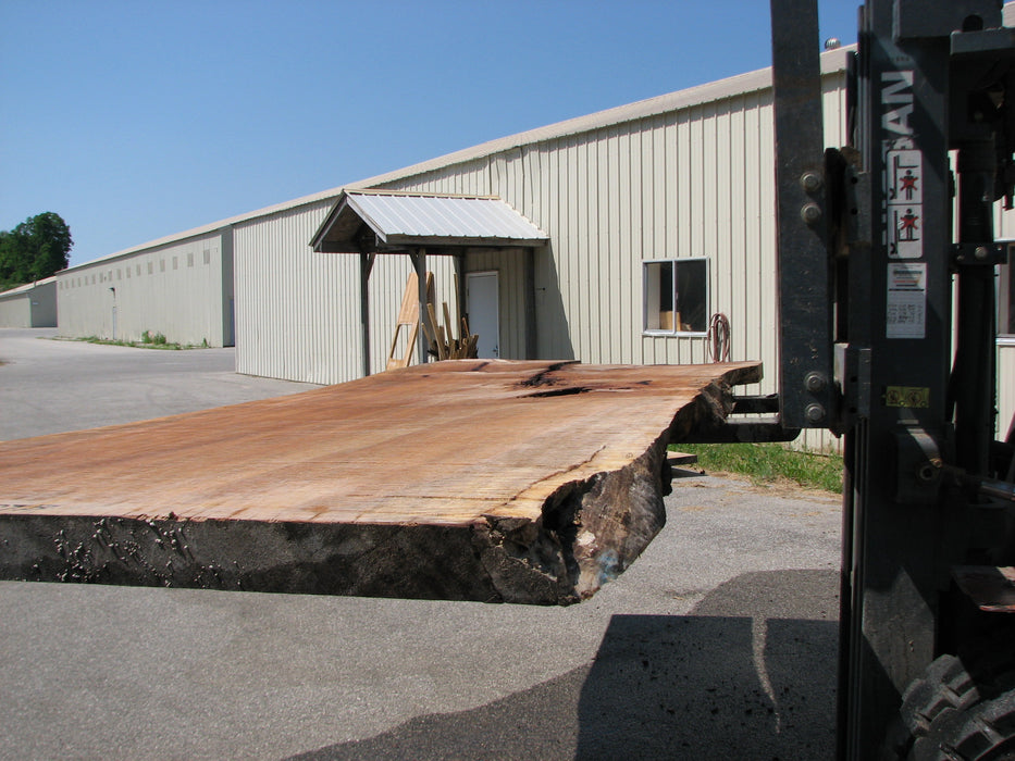 Maple #7437(TB) - 2-3/4" x 46" to 58" x 162" FREE SHIPPING within the Contiguous US. freeshipping - Big Wood Slabs