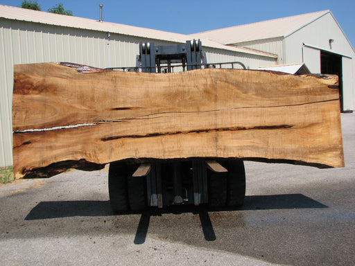 Maple #7439(TB) - 2-1/2" x 42" to 58" (A-11"-32", B-15"-33") x 162" FREE SHIPPING within the Contiguous US. freeshipping - Big Wood Slabs