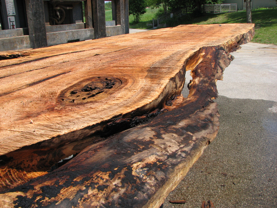Maple #7441(TB) - 2-1/2" x 36" to 51" x 165" FREE SHIPPING within the Contiguous US. freeshipping - Big Wood Slabs
