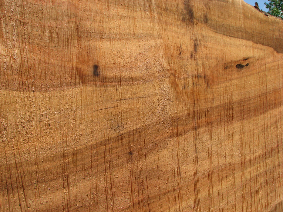 Maple #7442(TB) - 2-1/2" x 38" to 59" x 164" FREE SHIPPING within the Contiguous US. freeshipping - Big Wood Slabs