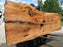 Maple #7443(TB) - 2-1/2" x 47" to 57" (A-24"-31", B-22"-28") x 164" FREE SHIPPING within the Contiguous US. freeshipping - Big Wood Slabs