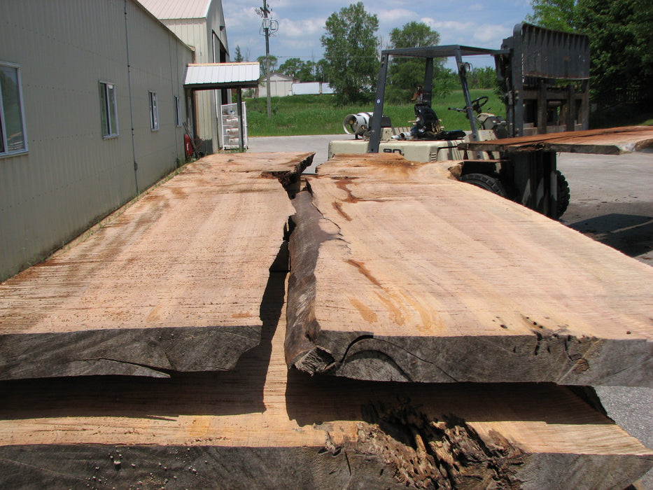 Maple #7443(TB) - 2-1/2" x 47" to 57" (A-24"-31", B-22"-28") x 164" FREE SHIPPING within the Contiguous US. freeshipping - Big Wood Slabs