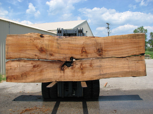 Maple #7444(TB) - 2-1/2" x 48" to 57" (A-23"-30", B-22"-28") x 163" FREE SHIPPING within the Contiguous US. freeshipping - Big Wood Slabs