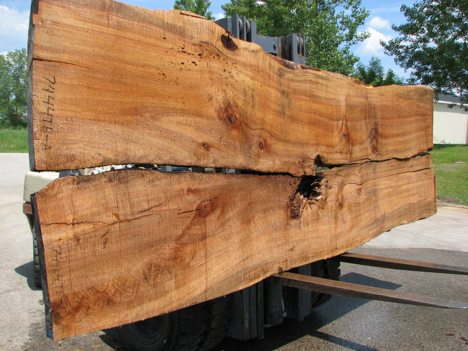 Maple #7444(TB) - 2-1/2" x 48" to 57" (A-23"-30", B-22"-28") x 163" FREE SHIPPING within the Contiguous US. freeshipping - Big Wood Slabs