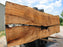 Maple #7445(TB) - 2-1/2" x 48" to 58" (A-26"-30", B-16"-27") x 163" FREE SHIPPING within the Contiguous US. freeshipping - Big Wood Slabs