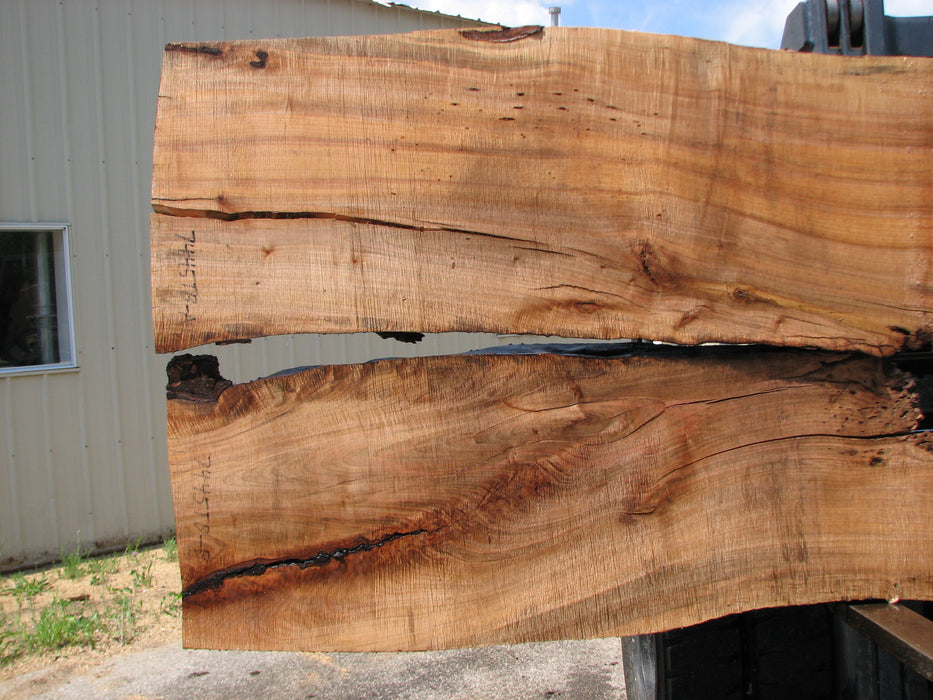 Maple #7445(TB) - 2-1/2" x 48" to 58" (A-26"-30", B-16"-27") x 163" FREE SHIPPING within the Contiguous US. freeshipping - Big Wood Slabs