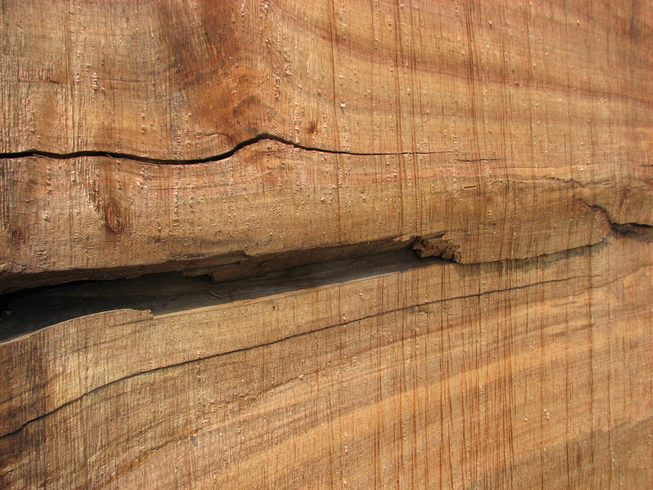 Maple #7445(TB) - 2-1/2" x 48" to 58" (A-26"-30", B-16"-27") x 163" FREE SHIPPING within the Contiguous US. freeshipping - Big Wood Slabs