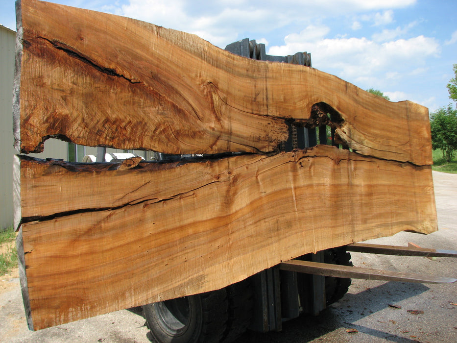 Maple #7445(TB) - 2-1/2" x 48" to 58" (A-26"-30", B-16"-27") x 163" FREE SHIPPING within the Contiguous US. freeshipping - Big Wood Slabs