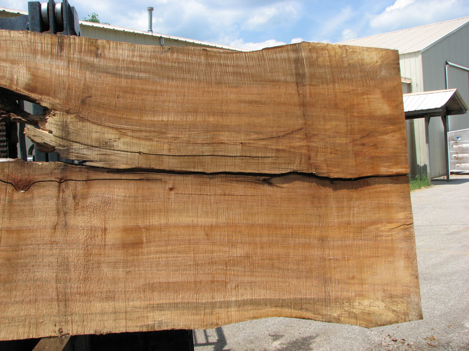 Maple #7445(TB) - 2-1/2" x 48" to 58" (A-26"-30", B-16"-27") x 163" FREE SHIPPING within the Contiguous US. freeshipping - Big Wood Slabs