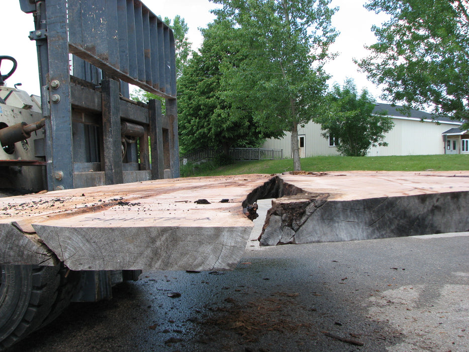 Maple #7445(TB) - 2-1/2" x 48" to 58" (A-26"-30", B-16"-27") x 163" FREE SHIPPING within the Contiguous US. freeshipping - Big Wood Slabs