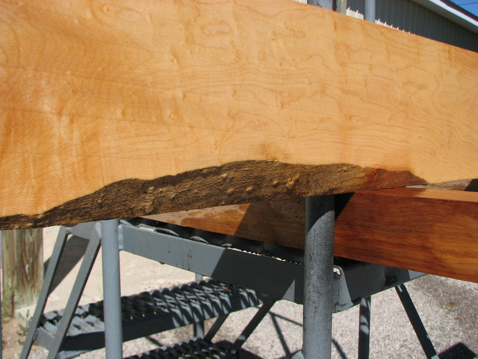 Maple #7451 - 3/4" x 5-1/2" x 79" FREE SHIPPING within the Contiguous US. freeshipping - Big Wood Slabs