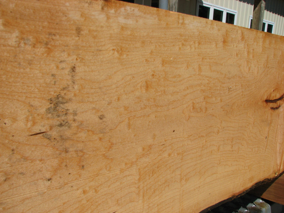Maple #7455 - 3/4" x 9" x 64" FREE SHIPPING within the Contiguous US. freeshipping - Big Wood Slabs