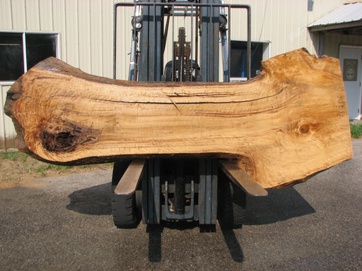 Cottonwood #7612(ROC) - 2-3/4" x 20" to 39" x 101" FREE SHIPPING within the Contiguous US. freeshipping - Big Wood Slabs