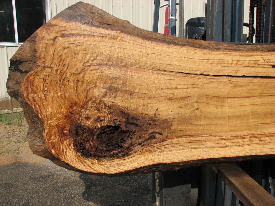 Cottonwood #7612(ROC) - 2-3/4" x 20" to 39" x 101" FREE SHIPPING within the Contiguous US. freeshipping - Big Wood Slabs
