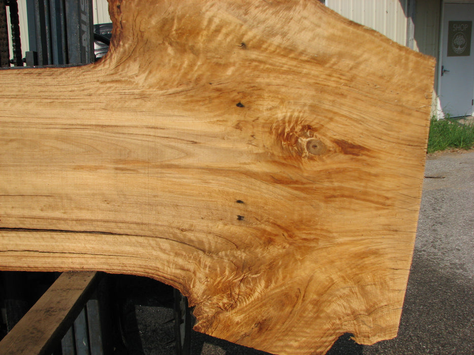 Cottonwood #7612(ROC) - 2-3/4" x 20" to 39" x 101" FREE SHIPPING within the Contiguous US. freeshipping - Big Wood Slabs