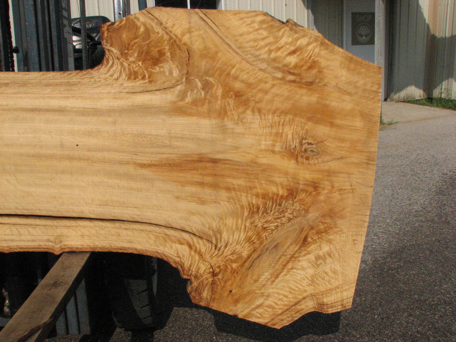 Cottonwood #7613(ROC) - 2-3/4" x 23" to 42" x 112" FREE SHIPPING within the Contiguous US. freeshipping - Big Wood Slabs