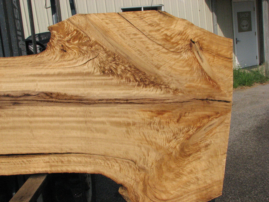 Cottonwood #7614(ROC) - 2-1/4" x 25" to 45" x 110" FREE SHIPPING within the Contiguous US. freeshipping - Big Wood Slabs