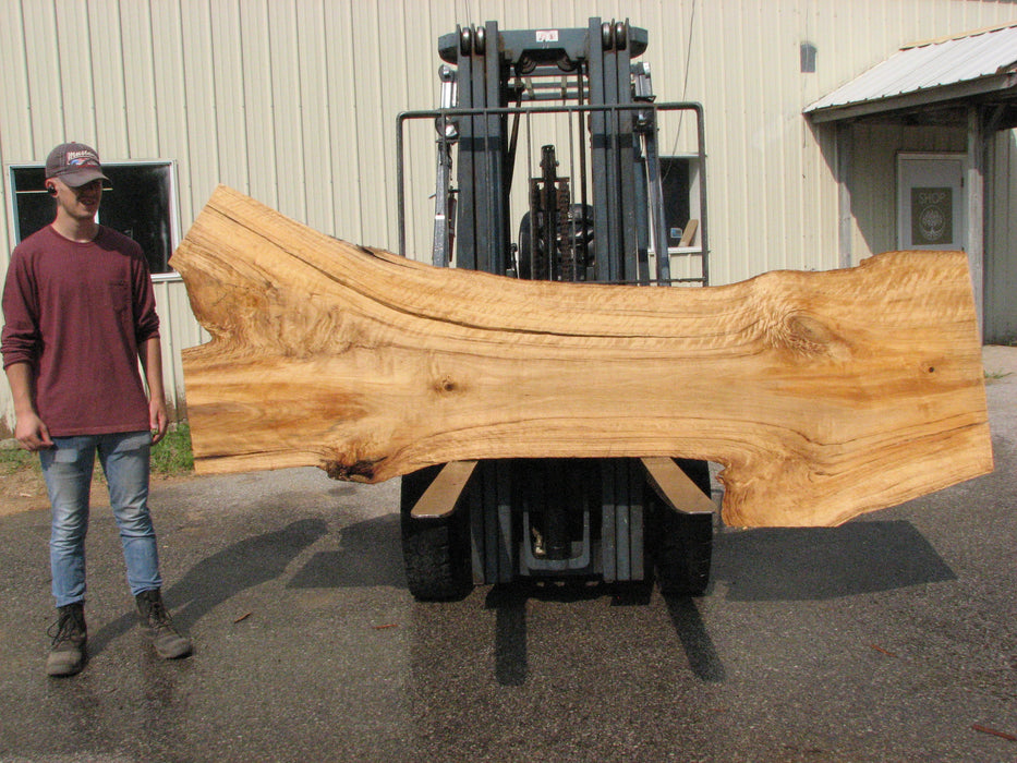 Cottonwood #7616(ROC) - 2-1/2" x 19" to 39" x 109" FREE SHIPPING within the Contiguous US. freeshipping - Big Wood Slabs