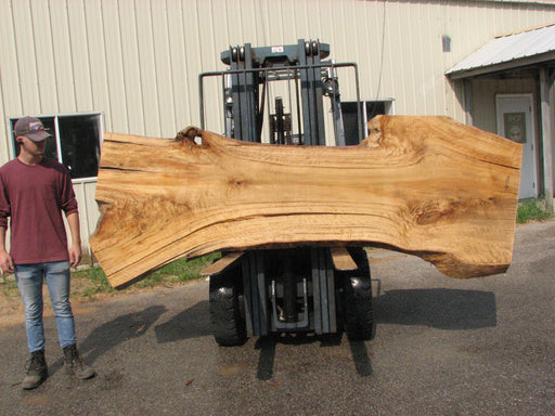 Cottonwood #7617(ROC) - 2-3/4" x 24" to 41" x 109" FREE SHIPPING within the Contiguous US. freeshipping - Big Wood Slabs