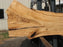 Cottonwood #7617(ROC) - 2-3/4" x 24" to 41" x 109" FREE SHIPPING within the Contiguous US. freeshipping - Big Wood Slabs