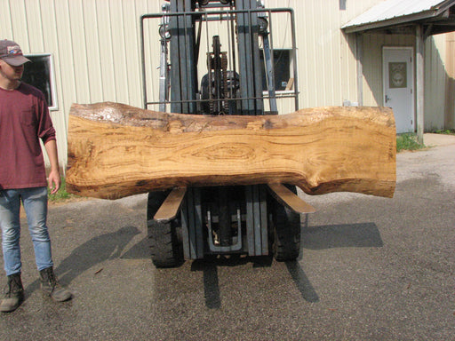 Cottonwood #7618(ROC) - 2-3/4" x 11" to 19" x 89" (Back side is 18"-26" wide) FREE SHIPPING within the Contiguous US. freeshipping - Big Wood Slabs