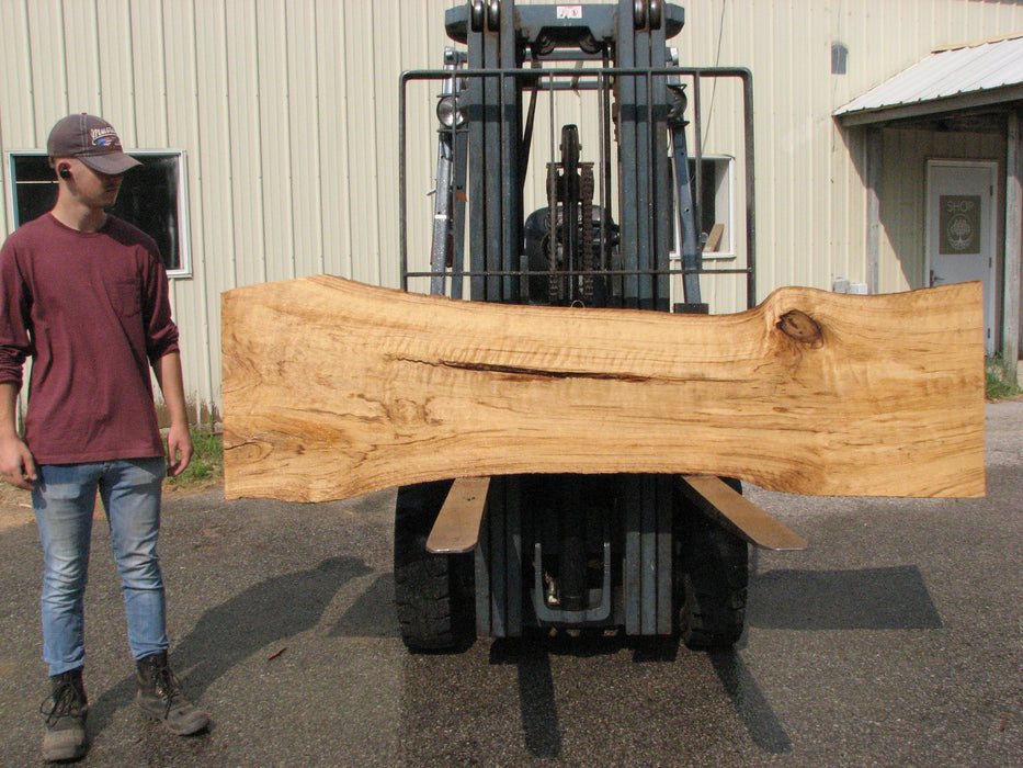 Cottonwood #7618(ROC) - 2-3/4" x 11" to 19" x 89" (Back side is 18"-26" wide) FREE SHIPPING within the Contiguous US. freeshipping - Big Wood Slabs